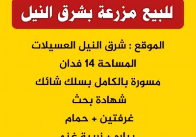 WhatsApp-Image-2026-05-06-at-3.45.55-PM